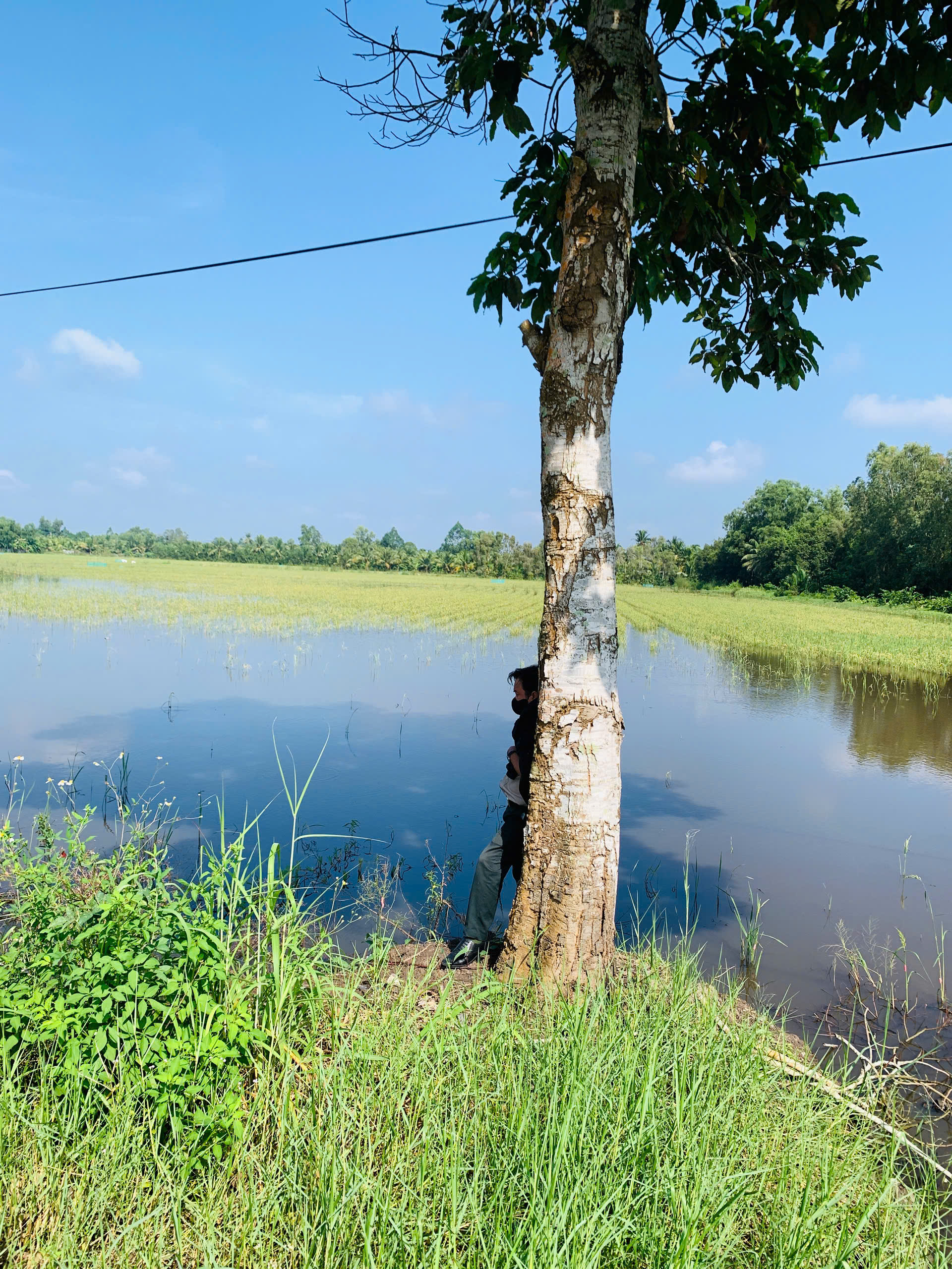 KHẢO SÁT ĐẤT NÔNG NGHIỆP TẠI CẦN THƠ