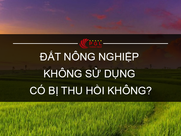 ĐẤT NÔNG NGHIỆP KHÔNG SỬ DỤNG CÓ BỊ THU HỒI KHÔNG?