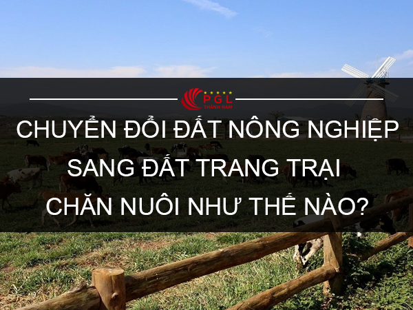 CHUYỂN ĐỔI ĐẤT NÔNG NGHIỆP SANG ĐẤT TRANG TRẠI CHĂN NUÔI NHƯ THẾ NÀO?