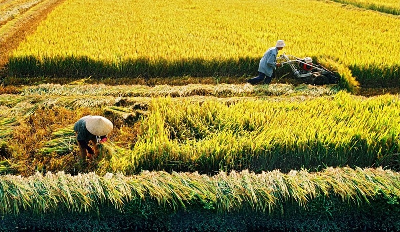 ĐỀ XUẤT CẤP SỔ ĐỎ CHO ĐẤT CÓ GIẤY TỜ VIẾT TAY